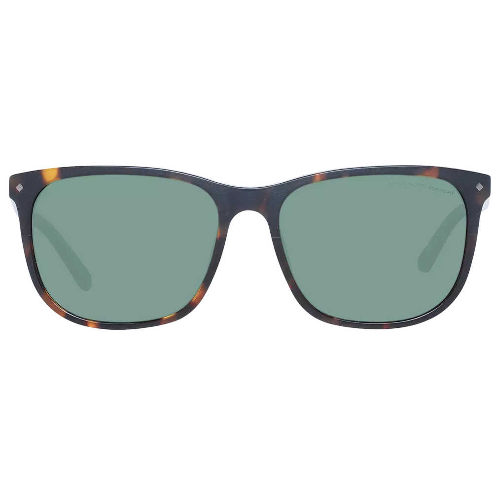 Gant Brown Men Sunglasses