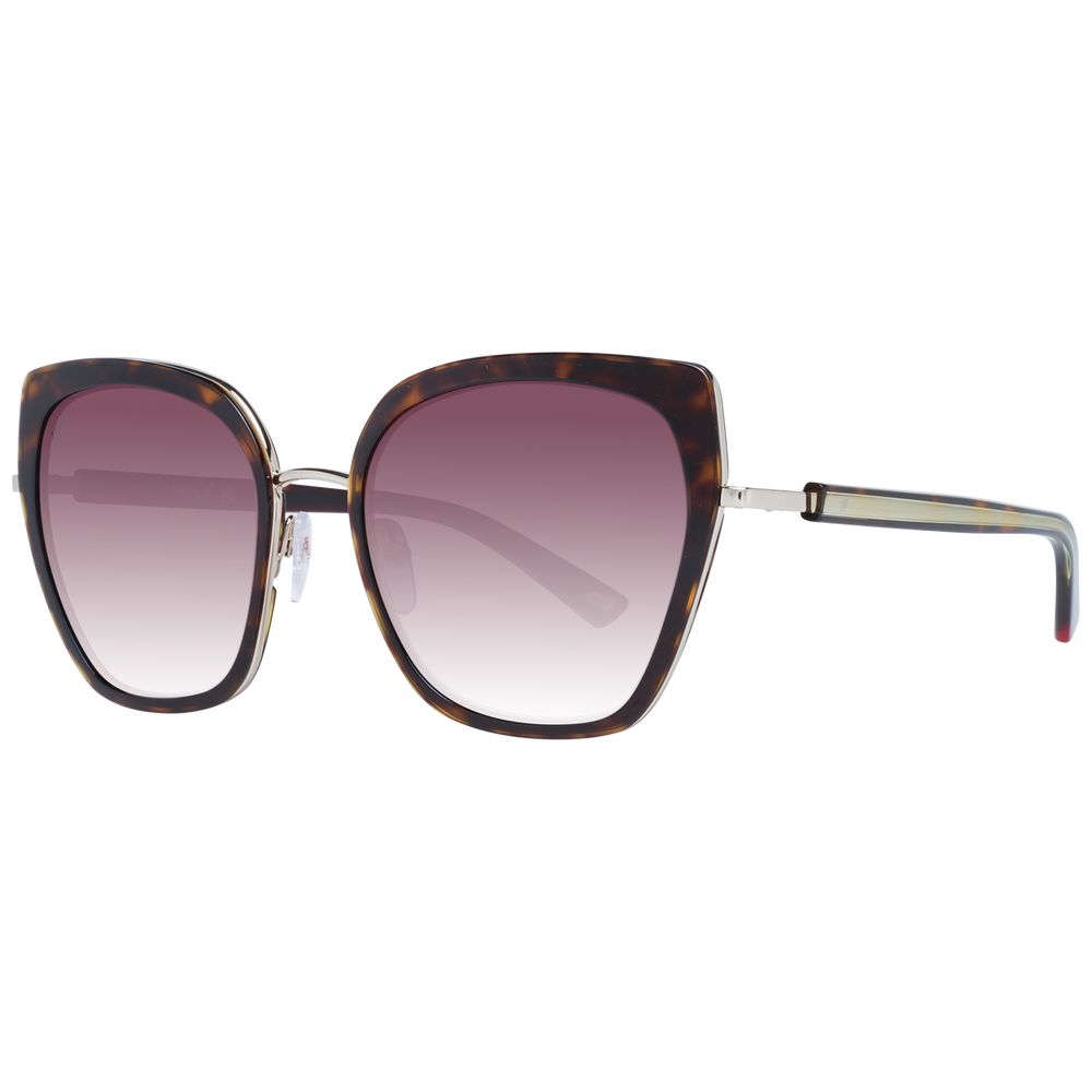 Web Brown Women Sunglasses