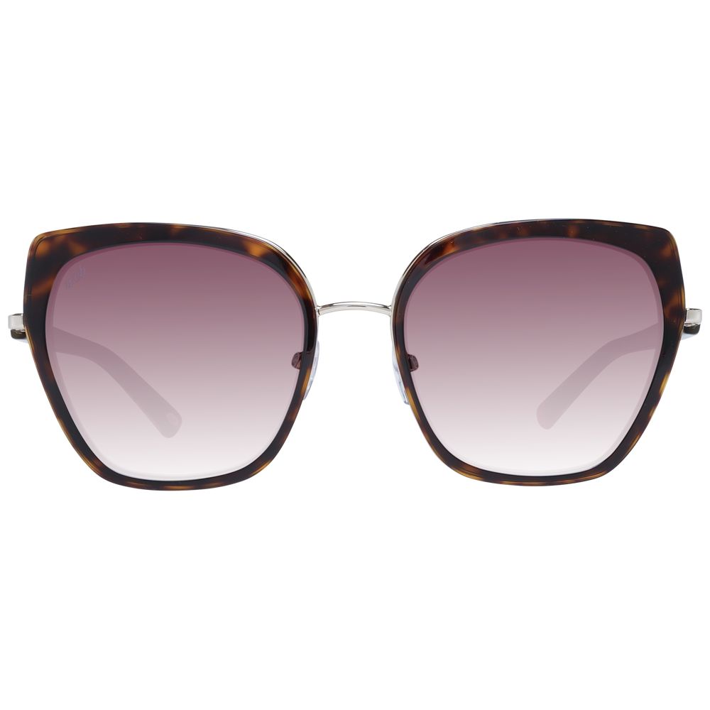 Web Brown Women Sunglasses