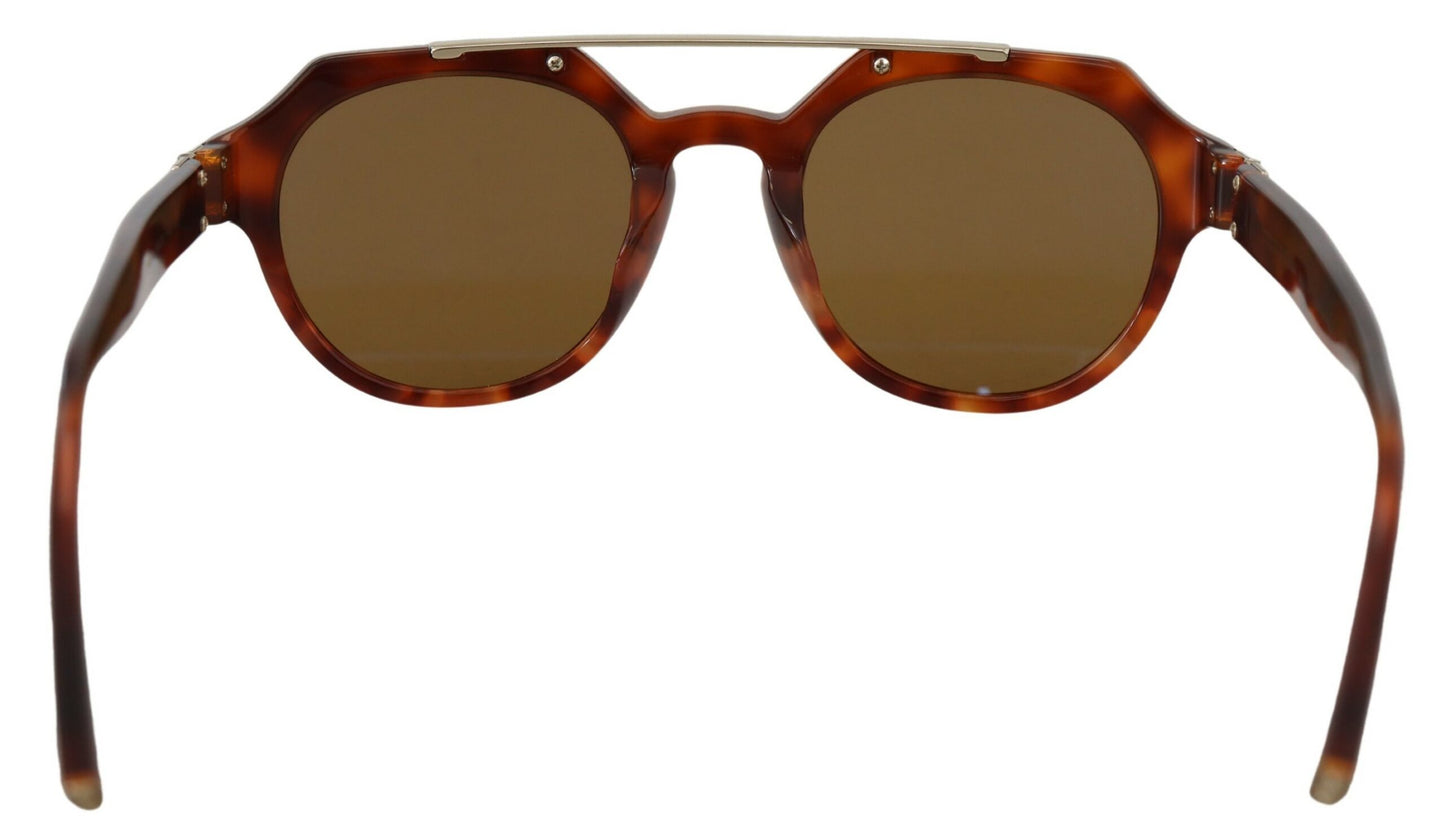 Dolce & Gabbana Chic Brown Wayfarer Sunglasses